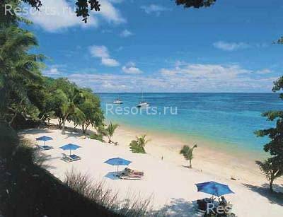 Black Parrot Suites Superior 12
